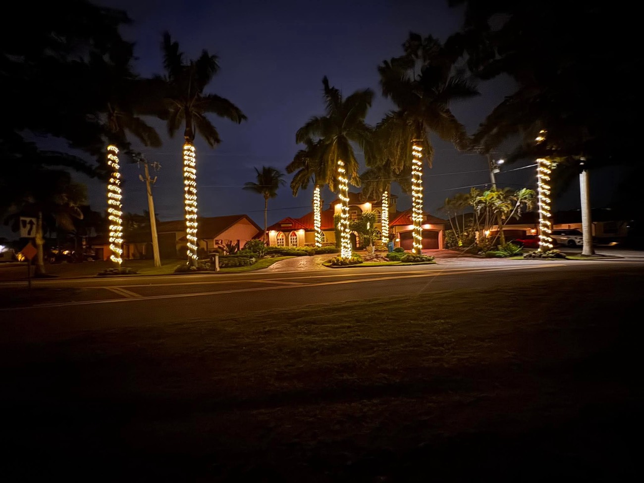 Royal palms wrapped in warm accent lighting at night in front of a Florida home