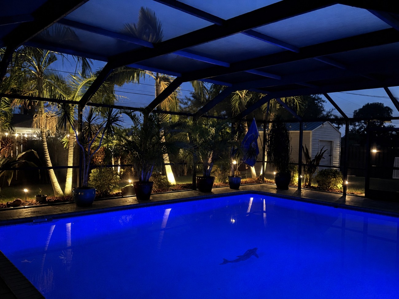 Backyard pool glowing blue at night inside a screened lanai, ringed by warm landscape uplights on palms and planters